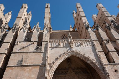 Palma de Mallorca Gotik Katedrali manzarası