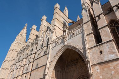 Palma de Mallorca Gotik Katedrali manzarası