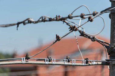 Kablolardaki kablolar. elektrik direği 