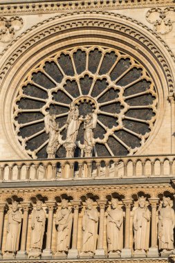 Paris 'teki Notre Dame Katedrali 