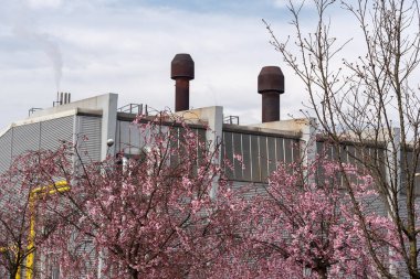 Mavi gökyüzünün arka planında kırmızı bacası olan bir bitki. 