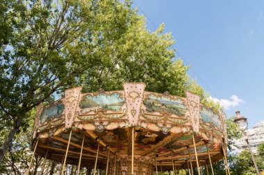 Şehir parkının arka planında atlı karınca