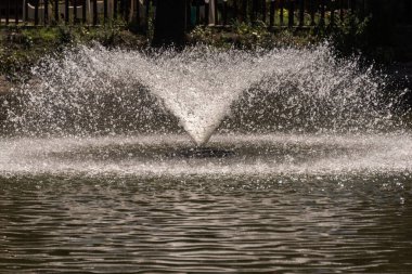 Yazın parkta güzel bir çeşme.