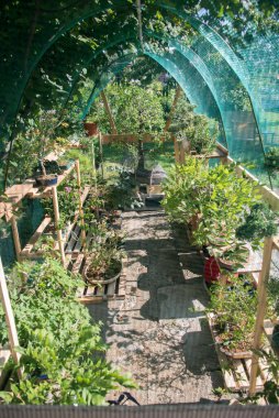 Seranın ortasında bir bahçe.