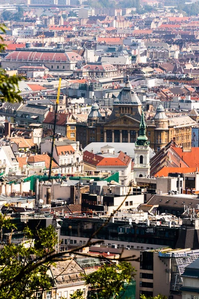 Budapest Ungarische Panoramablick Auf Buda Castle Budapest — Stockfoto