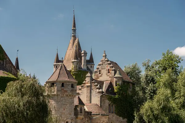 Şehirdeki eski şatonun güzel manzarası