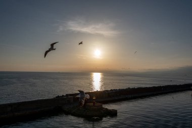 Akdeniz 'de gökyüzü ve bulutların arka planında uçan martılar.