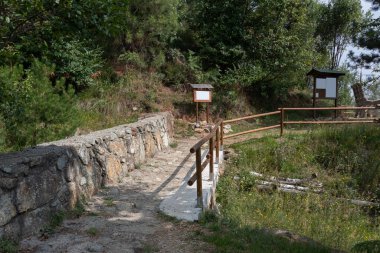 Taşlı ve ağaçlı dağ yolu