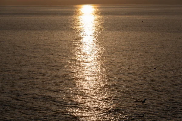 View Sunset Cruise Ship Mediterranean Sea — Stock Photo, Image