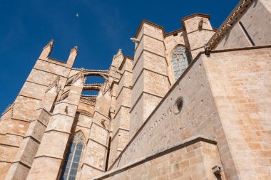 Palma de Mallorca Gotik Katedrali manzarası