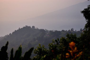 Kalimpong, Hindistan 'ın Batı Bengal kentinde bir tepe istasyonudur. Darjeeling ilçesinin bir alt bölümü, Darjeeling & Siliguri 'den 2,5 saat uzaklıkta.