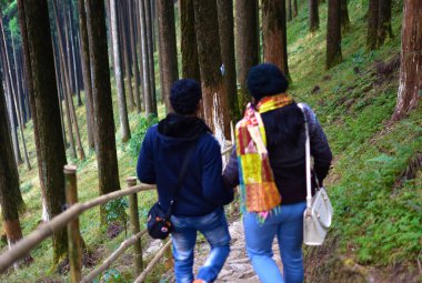 Dağlarda yürüyen erkek ve kadın yürüyüşçülerin bulanık bir görüntüsü. Sırt çantalı genç çift Lamahata, Darjeeling, Hindistan 'da ormanda yürüyor..