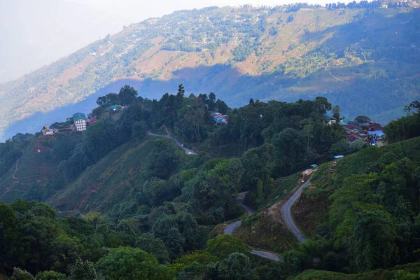 Een Weg Leidend Door Een Thee Boerderij Darjeeling West Bengalen — Stockfoto
