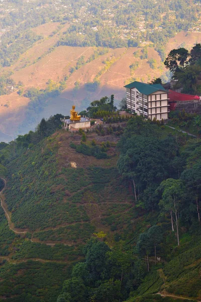 Teplantager Darjeeling Västbengalen Indien Fantastisk Utsikt Över Kullar Och Buddha — Stockfoto