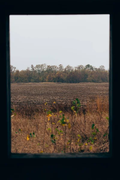 El foco selectivo del campo de la ventana de la casa abandonada - foto de stock