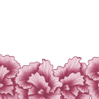 Beyaz izole arka planda pembe çiçekler kalem topuyla çiziliyor. Selamlaşma için el çizimi şablonu, düğün davetiyeleri, kartlar, posterler, baskılar ve tekstil. Metin için yer. 