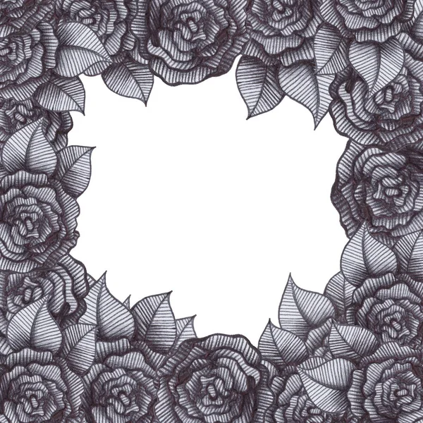 Gray Scale Flowers Roses Frame Leaves White Isolated Background Drawing — Stock Photo, Image
