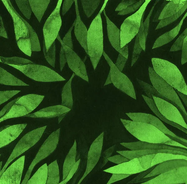 Marco Hojas Verde Oscuro Con Salpicaduras Acuarela Monocromática Pintura Espacial — Foto de Stock