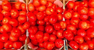 Süpermarketteki bir rafta duran sarı domatesler. Sarı ve kırmızı domatesler. Plastik bir kapta kuyrukları var..