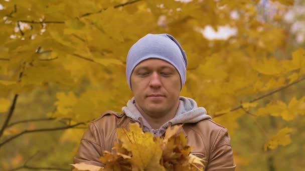 Портрет привлекательного мужчины осенью выбрасывает желтые листья над головой в парке. Эмоции — стоковое видео