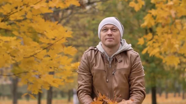 Привабливий чоловік викидає кленове листя восени в парк. Емоції, гарний настрій — стокове відео