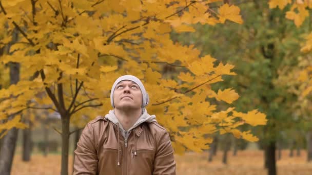Młody Człowiek Jesiennym Parku Rzuca Liśćmi Nad Głową Liście Wirują — Wideo stockowe