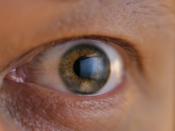 Мужчина с седыми глазами смотрит на монитор, сюрприз, крупный план
