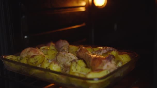 Baking Tray Cooked Food Standing Oven Door Open — Stock Video