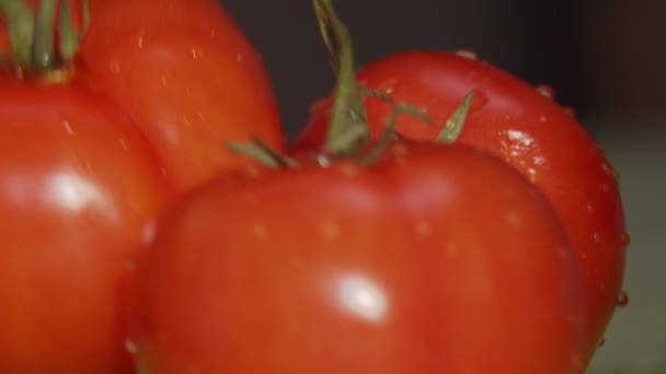 Tomat Matang Dicuci Dengan Cabang Close — Stok Video