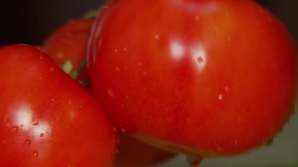 Zweig Mit Frischen Reifen Tomaten Nahaufnahme — Stockvideo