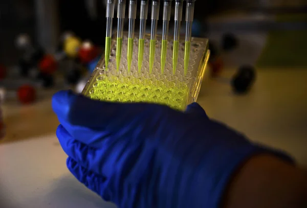 Researcher holding Multi channel pipette withdrawing green fluor