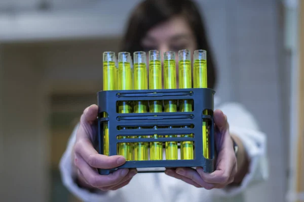 A woman scientist holding fractions of compound collected from column chromatography in a chemistry laboratory for biomediacal research