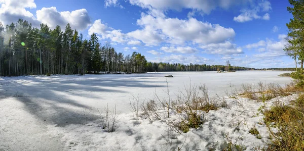 Scenic View Sun Lit Cloudscape Frozen Lake Surrounded Pine Tree — Stock Photo, Image