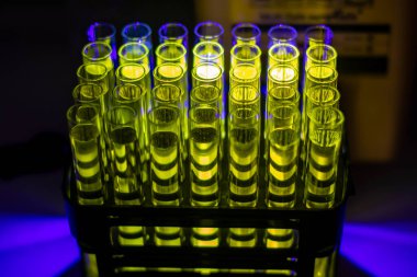Biyomedikal araştırmalar için kimya laboratuarındaki çoklu test tüpünde kolon kromatografisinden toplanan parlayan organik bileşik solüsyon.