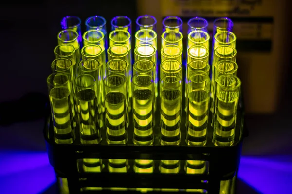 Glowing organic compound solution collected from column chromatography in multiple test tube in a chemistry laboratory for biomedical research