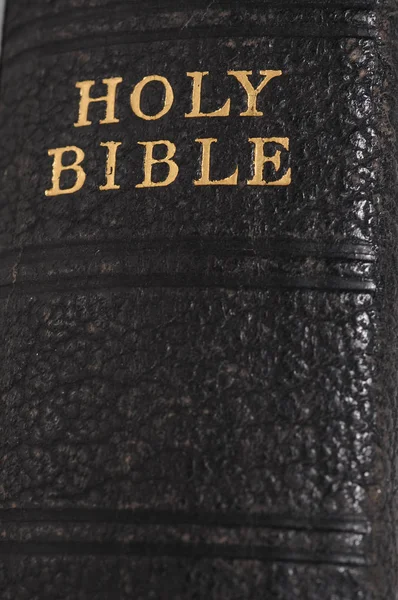 Buchrücken einer alten Bibel lizenzfreie Stockbilder