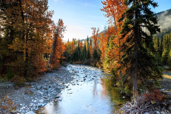 Splendidi Colori Autunnali Lungo Torrente Mattino Presto — Foto Stock