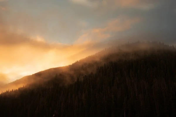 Atemberaubender Morgennebel Über Dem Berg — Stockfoto