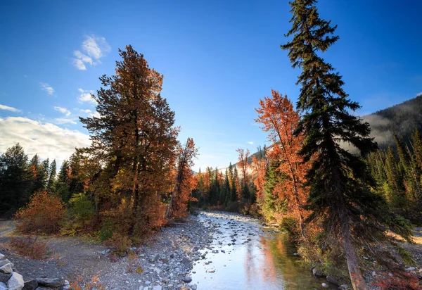 Atemberaubende Herbstfarben Bach Den Frühen Morgenstunden Stockbild