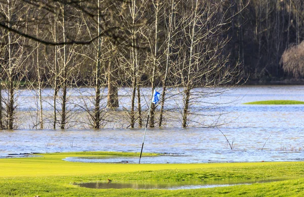 Golf Course Green Flooded Extreme Rainfall Telifsiz Stok Fotoğraflar