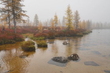 Jack London Gölü, Kolyma, Magadan Bölgesi 'nde sis