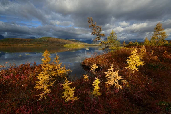 Autumn Forest Tundra Jack London Lake Kolyma Magadan Region — ストック写真