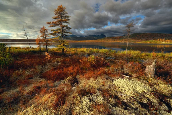 Jesienny Las Tundra Nad Jeziorem Jack London Kolyma Obwód Magadan — Zdjęcie stockowe
