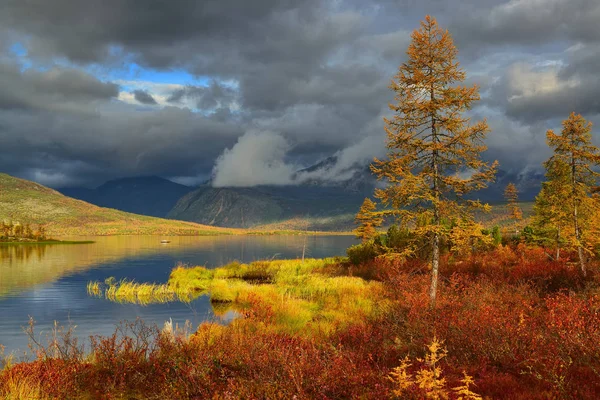 Magadan地区Kolyma Jack London湖的秋天森林冻土带 — 图库照片