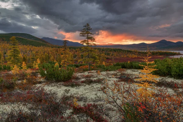 Jesienny Las Tundra Nad Jeziorem Jack London Kolyma Obwód Magadan — Zdjęcie stockowe