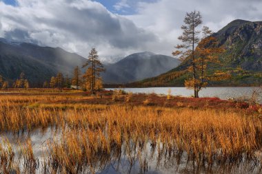Mavi alacakaranlık Jack London, Kolyma, Magadan bölgesi