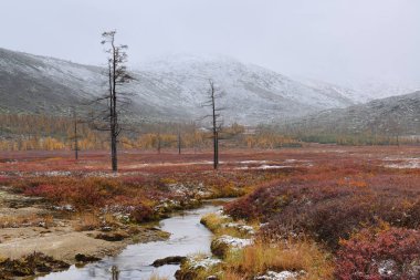 Mavi alacakaranlık Jack London, Kolyma, Magadan bölgesi