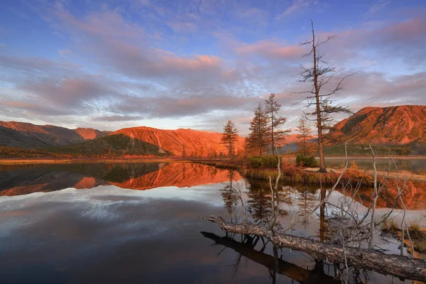 Yellow Larch Ξημέρωμα Του Σεπτεμβρίου Jack London Lake Kolyma Περιοχή — Φωτογραφία Αρχείου