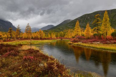 Tundra 'da bir derede sonbahar yağmuru, Magadan bölgesi, Rusya' nın uzak doğusunda