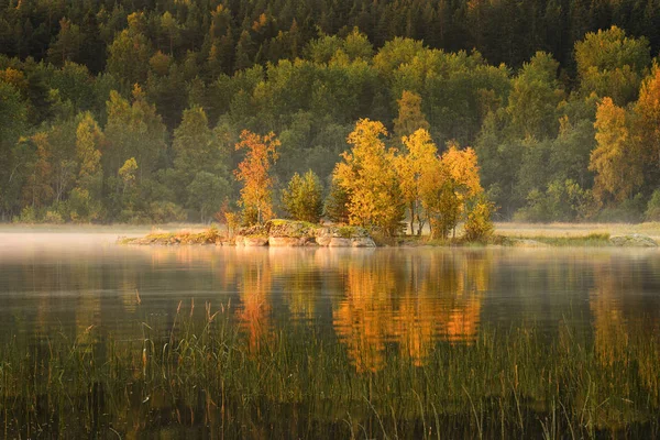 Malý Ostrov Jezeře Podzim Ráno Jezero Ladoga Karelijská Republika Rusko — Stock fotografie